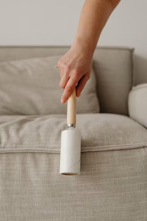 Reusable Lint Roller Guide: Choosing Tools for Clothing, Furniture, and Everyday Cleanup
