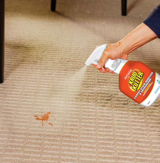 Carpet Cleaners