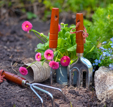 Garden Prep Tools