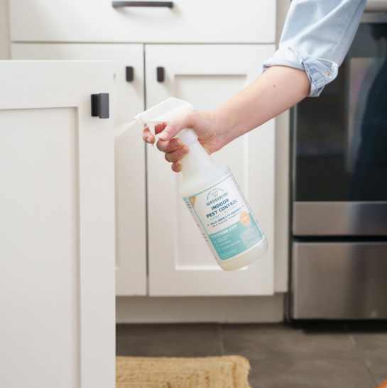 Indoor Insect & Pest Control