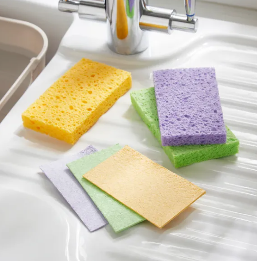 Sponges