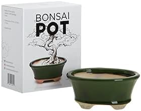 Complete Bonsai Set - Small Green Oval Bonsai Pot with Soil, Fertilizer Pellets, 160ft of Bonsai Hobby Wire, Cutter and Storage Bag - DIY Gardening Starter Set - Plant Repotting Supplies