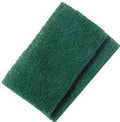 BIRDWELL CLEANING, Scouring Pad, EA