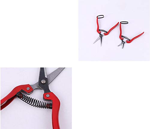 WOIWO 1 PCS Thin Fruit Scissors Picking Fruit Scissors Multi-Functional Garden Tools Turned Up to Pick Tomato Grape Orange Scissors (Quarter Bend)