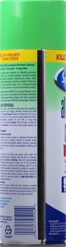 Sprayway All Purpose Disinfectant Cleaner, Foaming Action, 19 Ounce