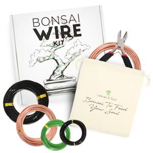 Leaves and Soul Tree Training Wire Kit – 5 Rolls Aluminum Alloy Bonsai Wire (160ft) with Cutter & Canvas Bag | Bonsai Tools, Plant Training Accessories, Bonsai Tree Kit for Beginners & Professionals