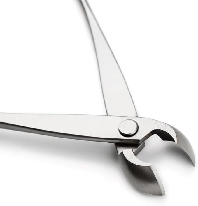 tianbonsai Bonsai Tools 180 Mm Round Edge Cutter Multifunctional Bonsai Cutter With Both Straight Edge And Round Edge