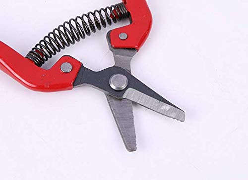 WOIWO 1 PCS Thin Fruit Scissors Picking Fruit Scissors Multi-Functional Garden Tools Turned Up to Pick Tomato Grape Orange Scissors (Quarter Bend)
