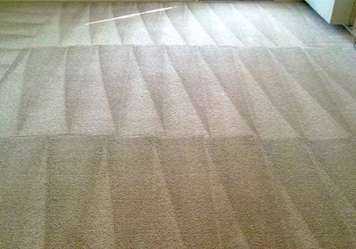 Capture Carpet Total Care Kit 100 & Pre-Mist Soil Release for Carpet Dry Cleaner, Carpet Cleaning Pre Spray (2 Pack) - Bundle