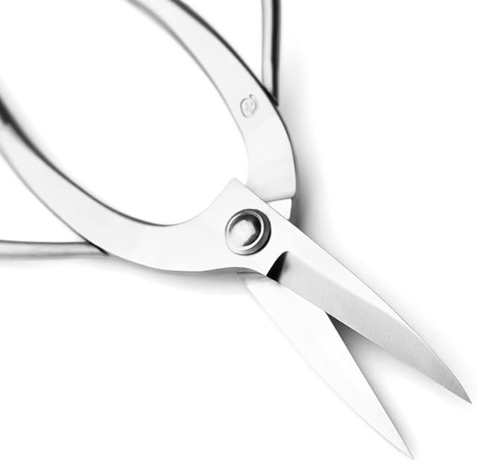 TianBonsai Bonsai Scissors Bonsai Tools (T 190 root pruning scissors)