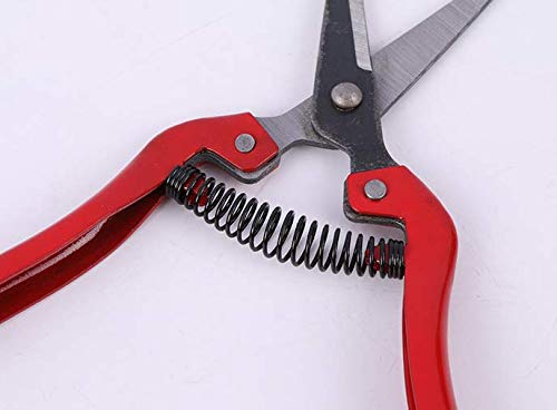 WOIWO 1 PCS Thin Fruit Scissors Picking Fruit Scissors Multi-Functional Garden Tools Turned Up to Pick Tomato Grape Orange Scissors (Quarter Bend)