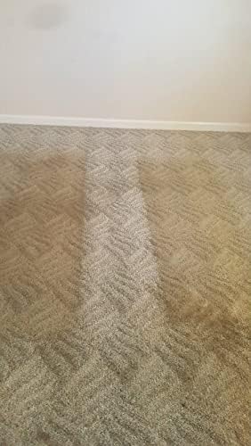 Carpet Fiber Rinse 5600 - Water-Based Cleaning Solution - Prevents Browning, Yellowing & Bleeding - Residential & Commercial - 5Gal