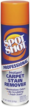 Professional Instant Carpet Stain Remover, Light Scent,18oz.Spray Can, 12/Carto