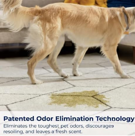 Woo-lite Carpet and Upholstery Foam Cleaner with Built-in Brush, Triple Action Stainlift Technology for Stairs, Fabrics, Pet Odors