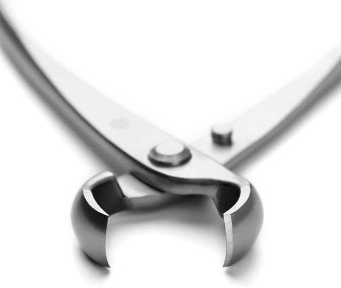TianBonsai Bonsai Tools 205 Mm Knob Cutter Concave Cutter