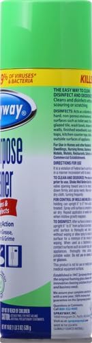 Sprayway All Purpose Disinfectant Cleaner, Foaming Action, 19 Ounce