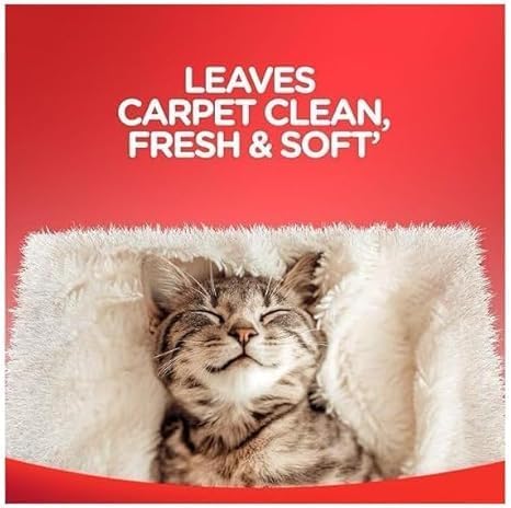 High Traffic Carpet Cleaner Foam, Unscented, 3X Dirt Removal, Stain-Resistant Carpet Solution and Odor Remover, 22 oz, 1 pack