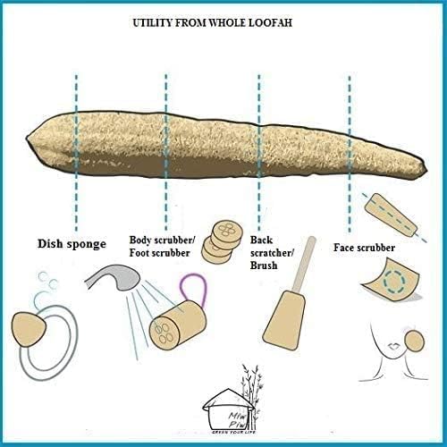 Natural Whole Loofah Sponge (Pack 3) - Exfoliating Body for Bath or Dish Scrubber for Kitchen - 100% Biodegradable Compostable, Dishwashing Scouring Pad, Zero Waste