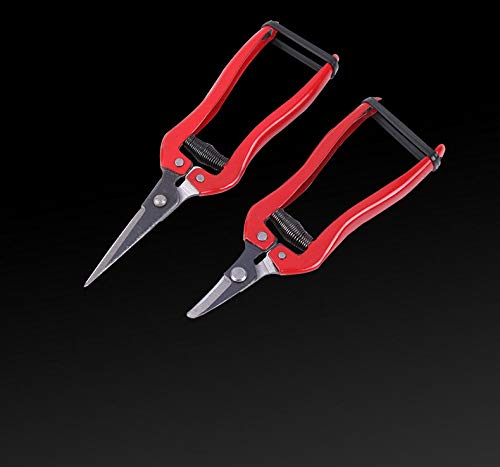 WOIWO 1 PCS Thin Fruit Scissors Picking Fruit Scissors Multi-Functional Garden Tools Turned Up to Pick Tomato Grape Orange Scissors (Quarter Bend)