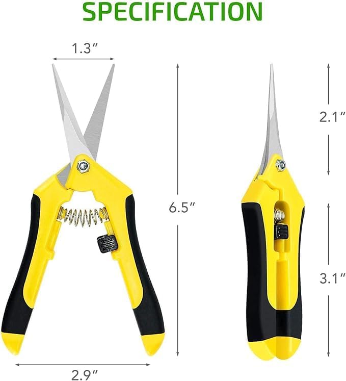 iPower 6.5 Inch Garden Hand Pruner Shears with Straight Stainless Steel Scissors, for Hydroponic Trimming Herb/Flowers/Vegetables/Plants, Yellow, 3-Pack