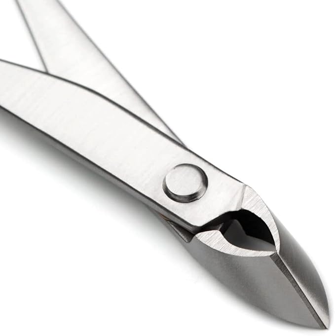 TianBonsai 185 mm Narrow Edge Branch Cutter Straight Edge Bonsai Tools
