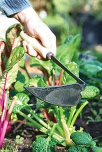 DeWit Tierra Garden Right Hand Japanese Hand Hoe, Handheld Gardening Tool to Remove Grass, Weeds, and More
