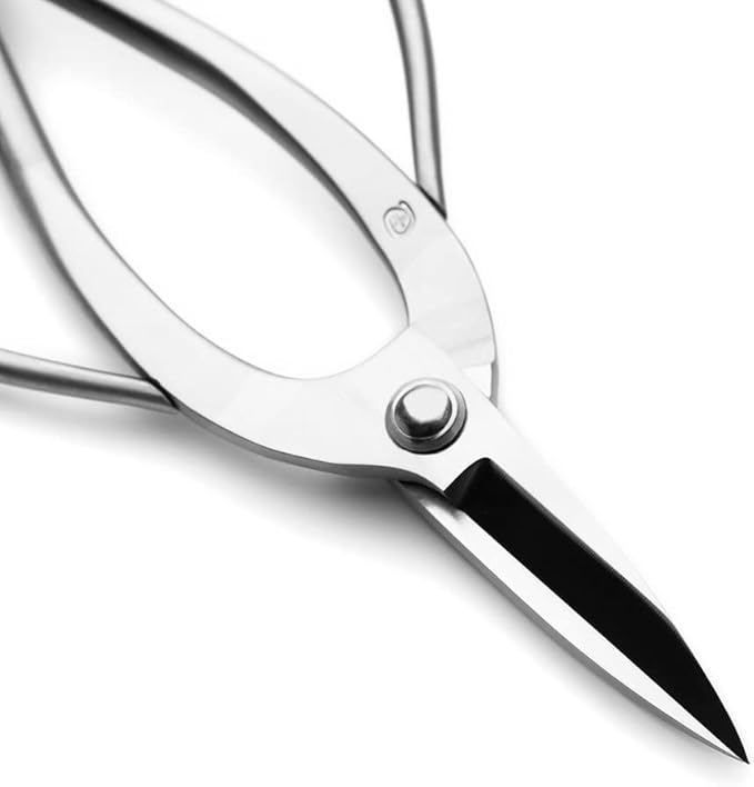 TianBonsai Bonsai Scissors Bonsai Tools (T 190 root pruning scissors)