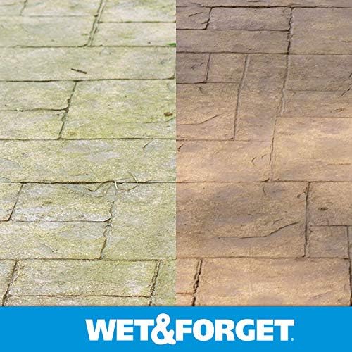 Wet & Forget Moss, Mold, Mildew, & Algae Stain Remover Multi-Surface Outdoor Cleaner Concentrate, Original, 64 Fluid Ounces (2 Pack)