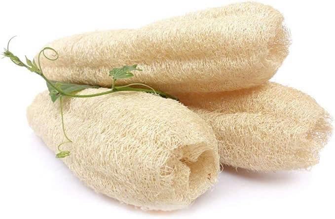 Natural Whole Loofah Sponge (Pack 3) - Exfoliating Body for Bath or Dish Scrubber for Kitchen - 100% Biodegradable Compostable, Dishwashing Scouring Pad, Zero Waste