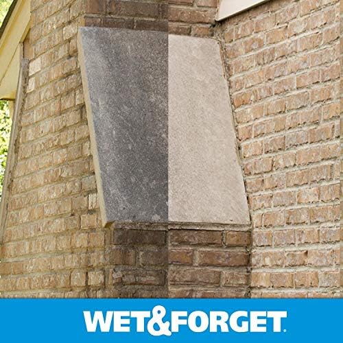 Wet & Forget No Scrub Outdoor Cleaner for Easy Removal of Mold, Mildew and Algae Stains, Bleach-Free Formula, 0.5 Gallon Concentrate - Ships to California Only, 64 Fluid Ounces