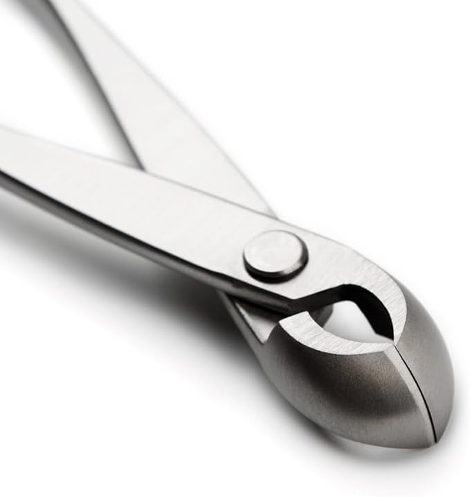 tianbonsai Bonsai Tools 180 Mm Round Edge Cutter Multifunctional Bonsai Cutter With Both Straight Edge And Round Edge
