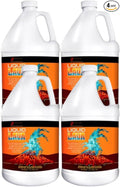 Liquid LAVA Carpet Cleaning Pre-Spray, Professional Extraction Solution with NanoMAXX Technology, 4 Gallons (4, Gallon)