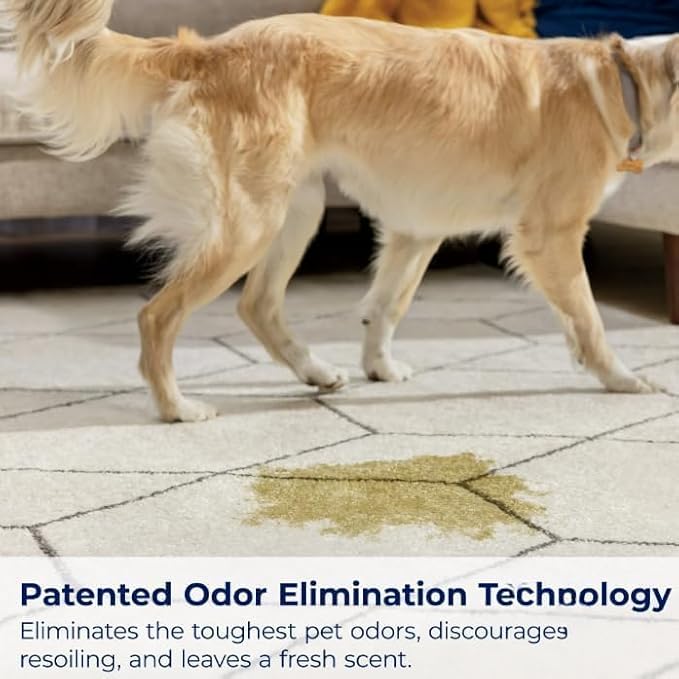 Woo-lite Carpet and Upholstery Foam Cleaner with Built-in Brush, Triple Action Stainlift Technology, Pet Odor Eliminator