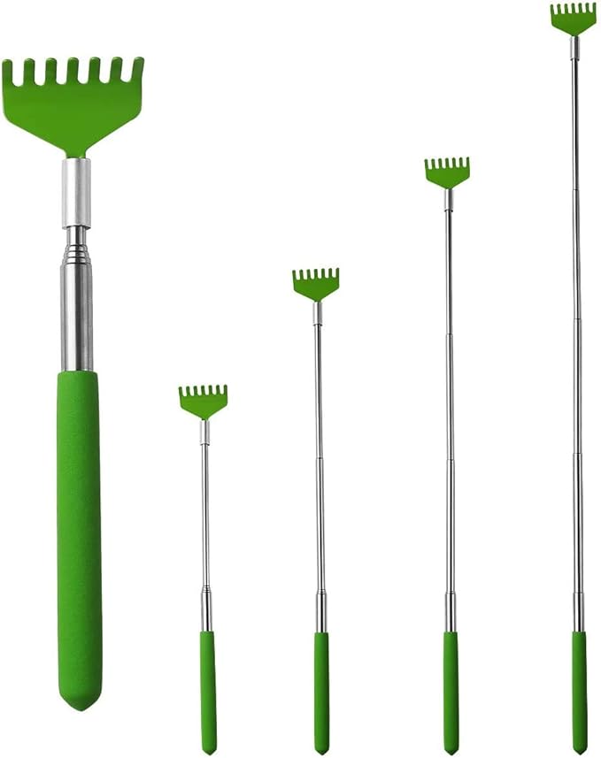 MIUPOO Mini Zen Sand Rakes Tool Decoration Garden Sand Rake Feng Shui Decoration for Home Office 2 Pieces(Yellow + Green)