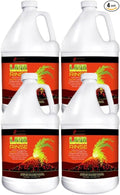LAVA Rinse Professional Carpet Cleaning Solution, 4 Gallon, Extraction Rinse with Advanced Filtration Technology (4, Gallons)
