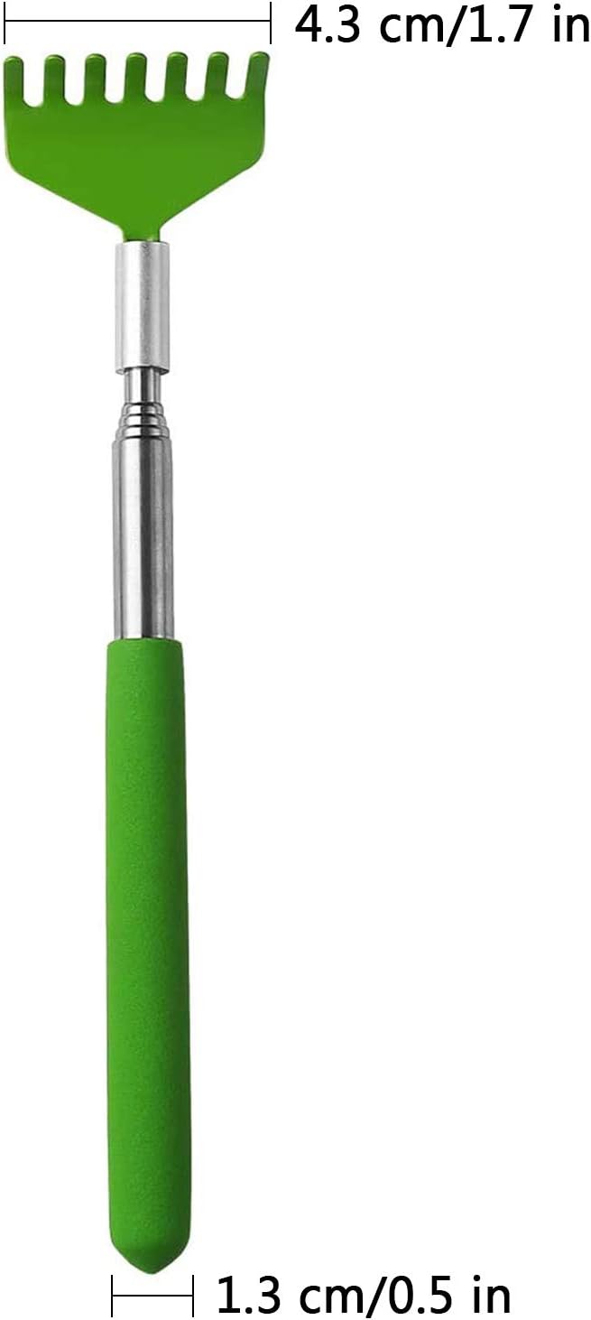 MIUPOO Mini Zen Sand Rakes Tool Decoration Garden Sand Rake Feng Shui Decoration for Home Office 2 Pieces(Yellow + Green)