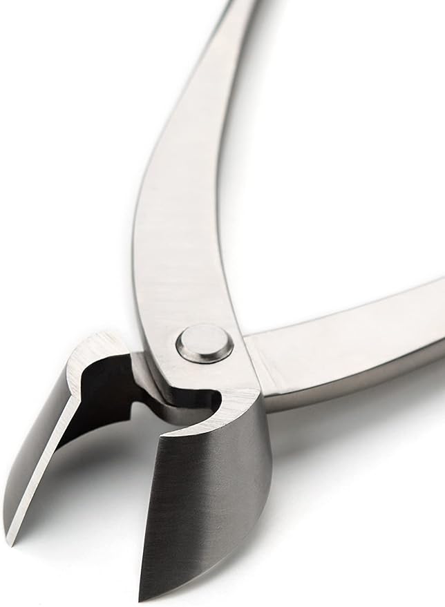 Bonsai Straight Edge Cutter Professional Grade Branch Cutter Alloy Steel Bonsai Tools Equip With Tool Bag (MT-SE-280)