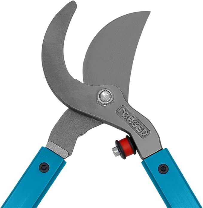 Zenport MV36 Professional Tree Lopper, Orchard and Landscape, 2-Inch Cut, Forged Head, 36-Inch Long