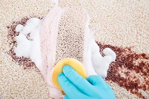 Naturama, All Natural Carpet Cleaner, Eco-Friendly EPA Registered. Made in The U.S. - Carpet Shampoo - Stain Remover - Cleaning Solution.