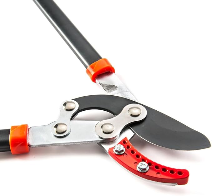 30-Inch Anvil Lopper for Tree Trimming, Heavy Duty, Low-Friction Sharp Steel Blade (65 Mn Steel Blade), Branch Cutter up to 2-Inch Diameter Cut Capacity, Chops Thick Branches with Ease
