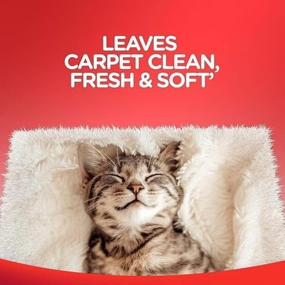 Resollve High Traffic Carpet Cleaner Foam, Unscented, 3X Dirt Removal, Stain-Resistant Carpet Solution and Odor Remover, 22 oz, 1 pack