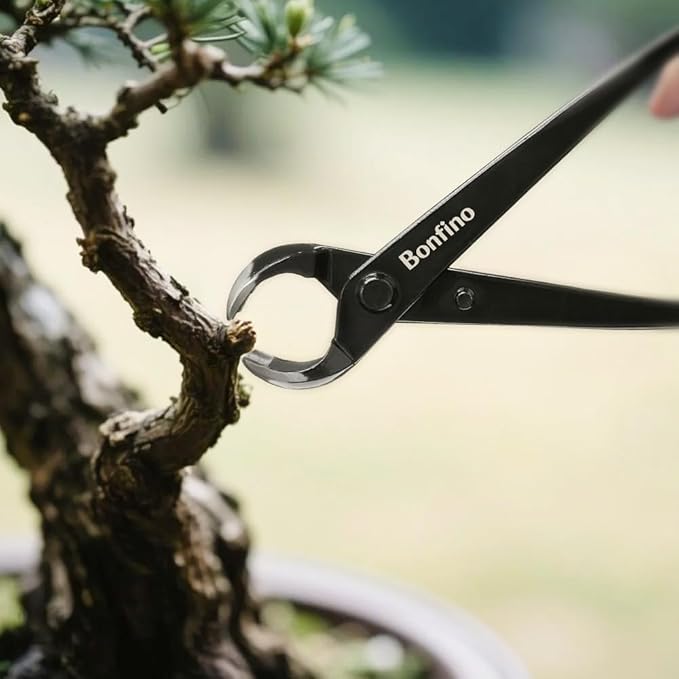 Bonsai Concave Cutter 8.3 inch, Heavy Duty Bonsai Clipper, Professional Grade Manganese Steel, Precision Branch Pruning Tool