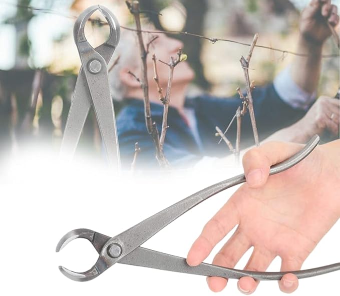 Bonsai Cutter, Knob Cutter Bonsai Tools Round Edge Cutter, Stainless Steel Bonsai Tree Knob Cutter Concave Cutter Bonsai Cutting Tool for Garden