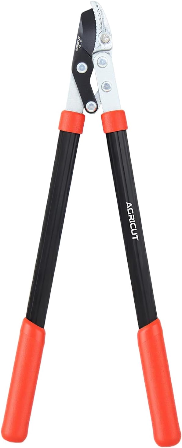 AGRICUT 21" Garden Loppers Anvil - Loppers for Tree Trimming Heavy duty 1.5" Cut Capacity Branch Cutter with Sharp High Carbon Steel Blade for Cutting Branches