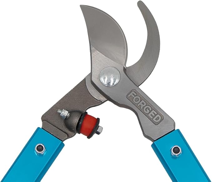 Zenport MV20 Professional Tree Lopper, Vine and Light Tree, 2-Inch Cut, Forged Head, 20-Inch Long