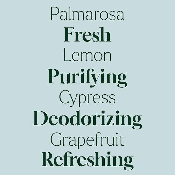 Plant Therapy Home Deodorizing Powder 16 oz, Odor Eliminator, Carpet Deodorizer, Multi-Use for Deep-Cleaning & Everyday Household Freshness, Powered by Pure Essential Oils