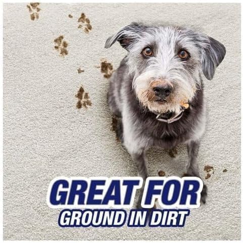 R'esolves Pet Expert High Traffic Carpet Cleaner Foam, 1 Pack 22oz, 3X Pet Hair and Dirt Removal,