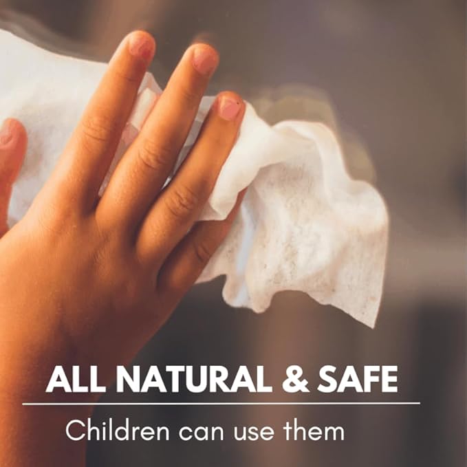 Glass Cleaner Wipes All Natural 40ct