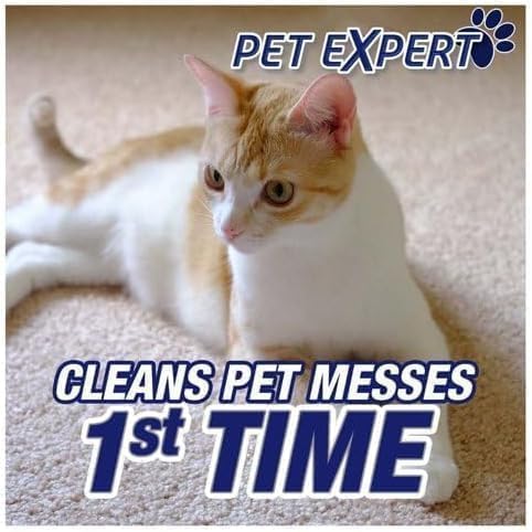 R'esolves Pet Expert High Traffic Carpet Cleaner Foam, 3X Pet Hair and Dirt Removal, 22oz, Pack of 1