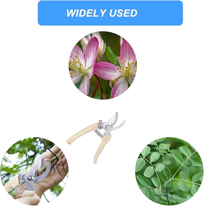 Professional Pruning Shears,Premium Garden Scissors, Stainless Steel Blade Garden Shears,Perfect for Trimming Flowers, Shaping Plants, Bonsai,Hydroponics,Herbs